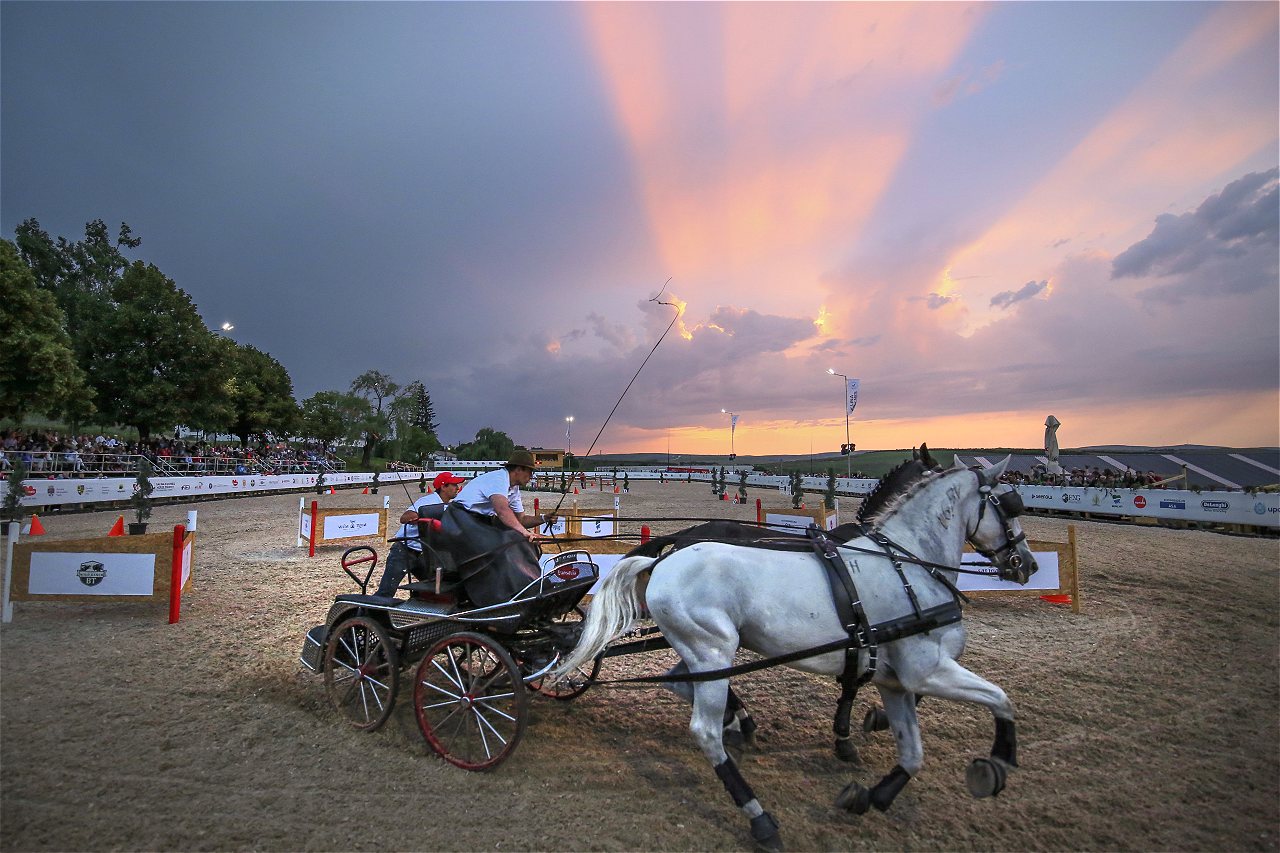 Salina Equines Horse Trophy 2017