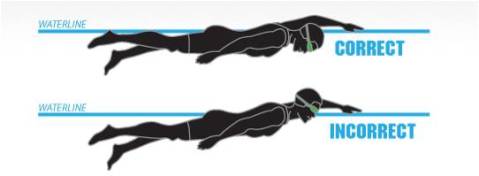 Teknik Dasar Renang Gaya Bebas