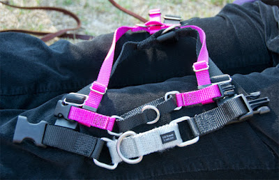 Size medium comes in two different strap widths, but there are some other differences as well.
