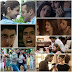 From Ranbir-Aishwarya's sizzling chemistry to Alia-SRK's undeniable camaraderie, here are the top Jodis of 2016!