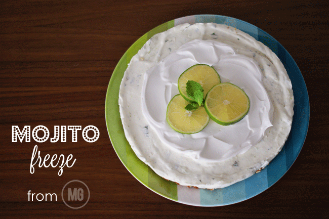 Mojito Freeze Favorite Summertime Sweet Treat...