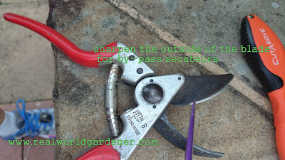 1-Sharpening%2Bsecs2.JPG