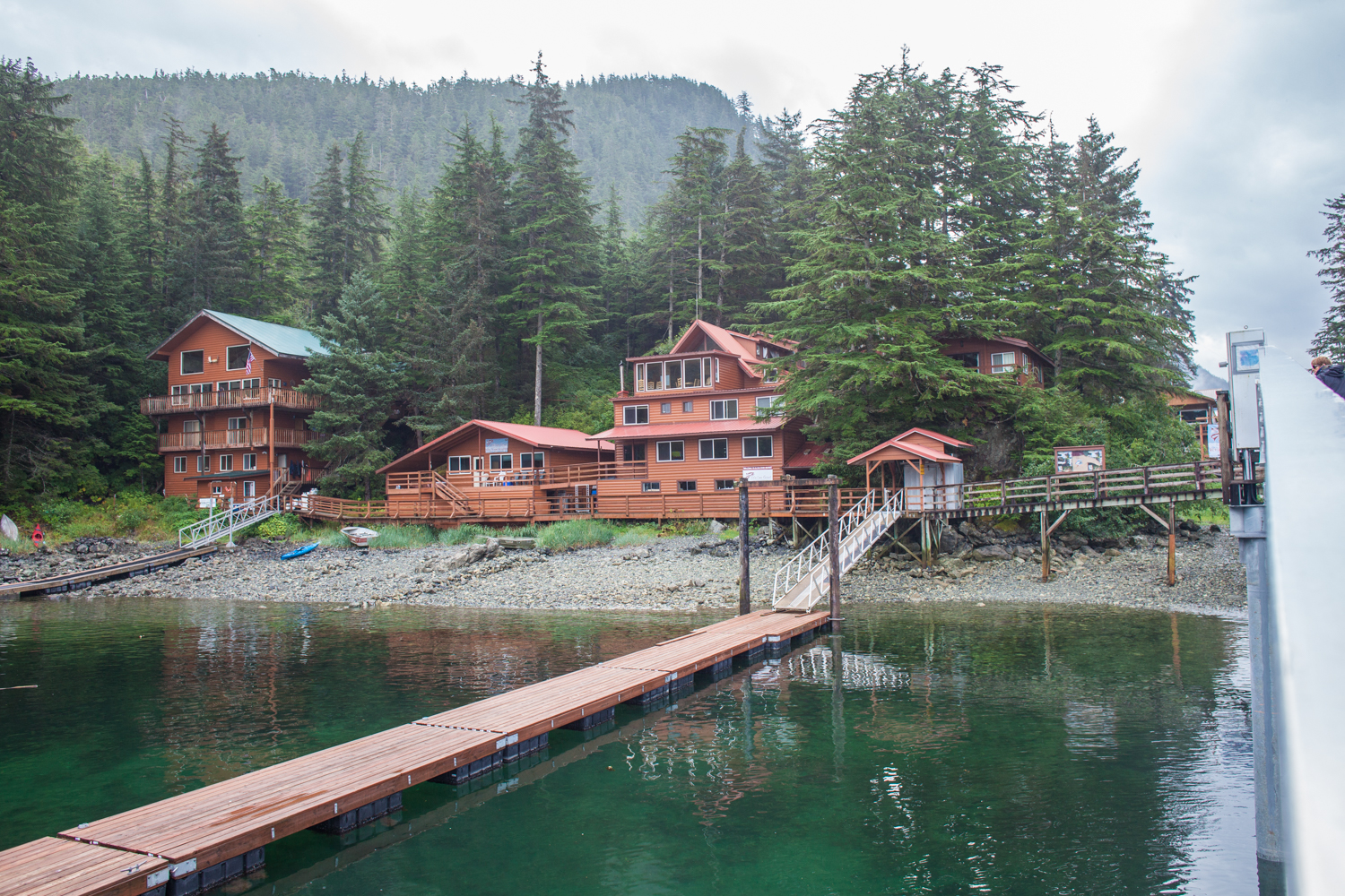 Capturing the Moment Elfin Cove The Cutest Alaskan Town