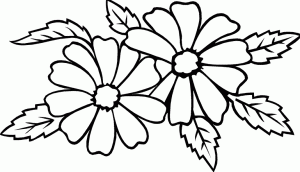 Imágenes de rosas, Flores para colorear Imágenes de rosas, Flores para colorear