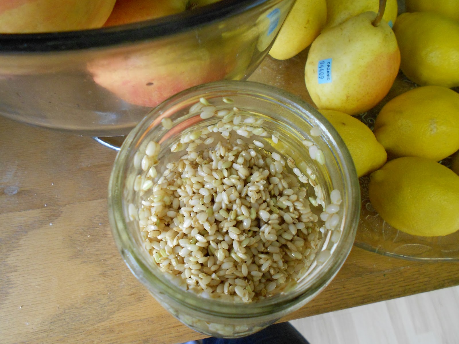 Pure Pursuit Sprouted Brown Rice