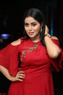 Poorna in Maroon Dress at Rakshasi movie Press meet Cute Pics ~  Exclusive 02