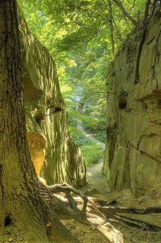 Wildcat Den State Park, Iowa, USA