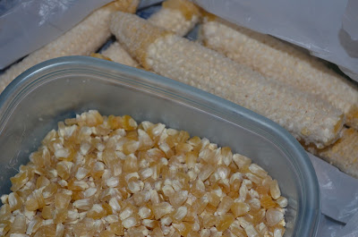 Removing full kernels from the cob Photo by Trisha Field
