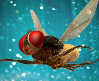 Capture D World: Eega Releasing Theaters List | Eega Movie Releasing