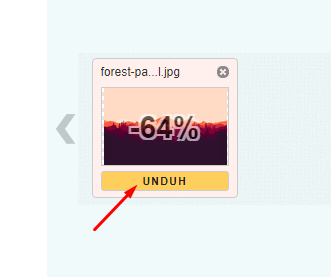 Cara Kompres Ukuran Foto dengan Mudah - Forum Komputer