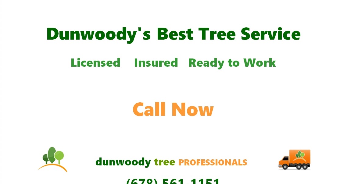 Dunwoody Tree Professionals