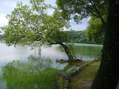 大阪府枚方市・山田池公園の風景