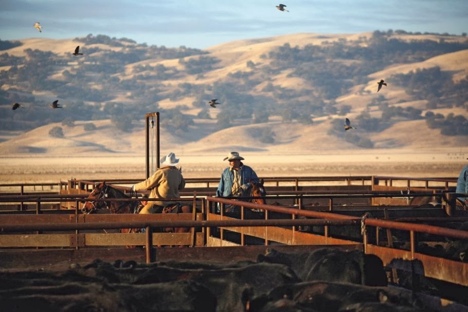 loveisspeed....... Home on the Hearst Range Since opening to the