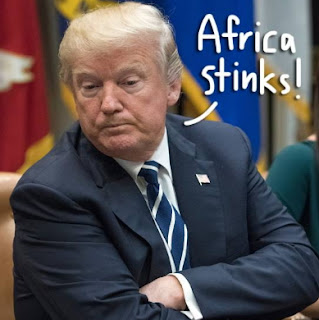 trump cannot change africa will change