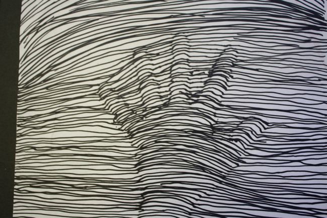 artisan des arts: Optical illusion - Hands