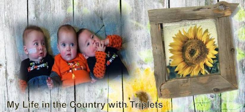 Life in the Country with Triplets