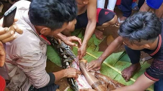 Wanita ini Tewas Di Makan Ular Sanca Wanita ini Tewas Di Makan Ular Sanca