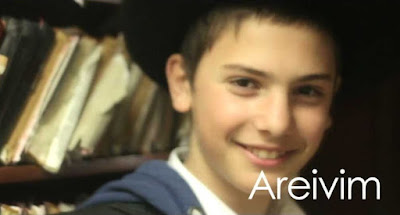 Yoel Falkowitz - Areivim