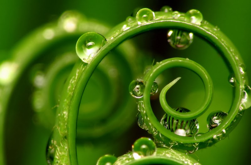 ciencia y religion naturaleza