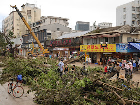 cleanup on the Lianhua Road Pedestrian Street after Typhoon Hato