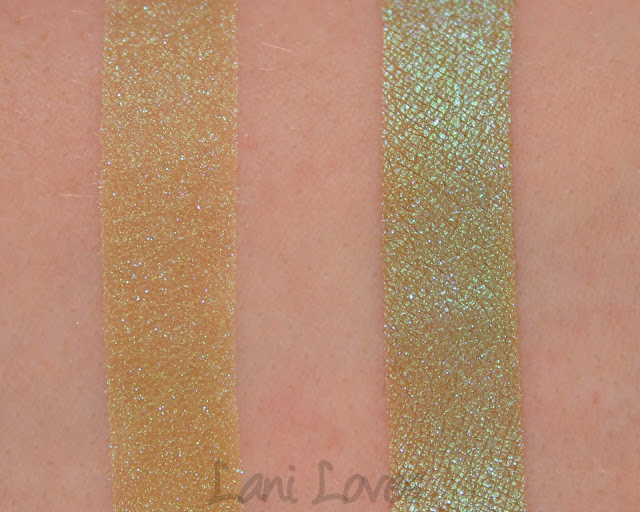 Notoriously Morbid Pay What Is Owed Eyeshadow Swatches & Review
