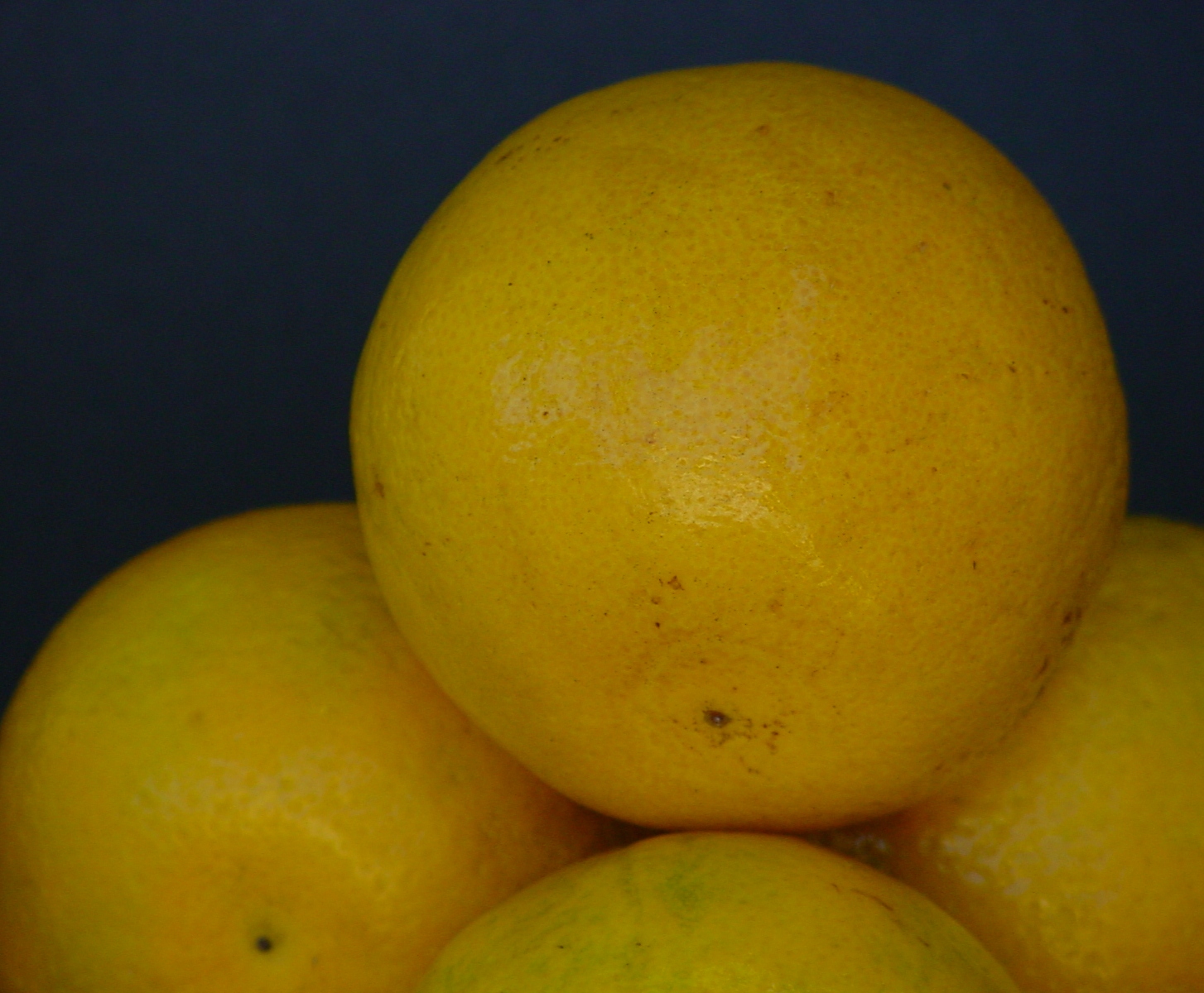 chikoo fruit meaning in english chikoo fruit meaning in english