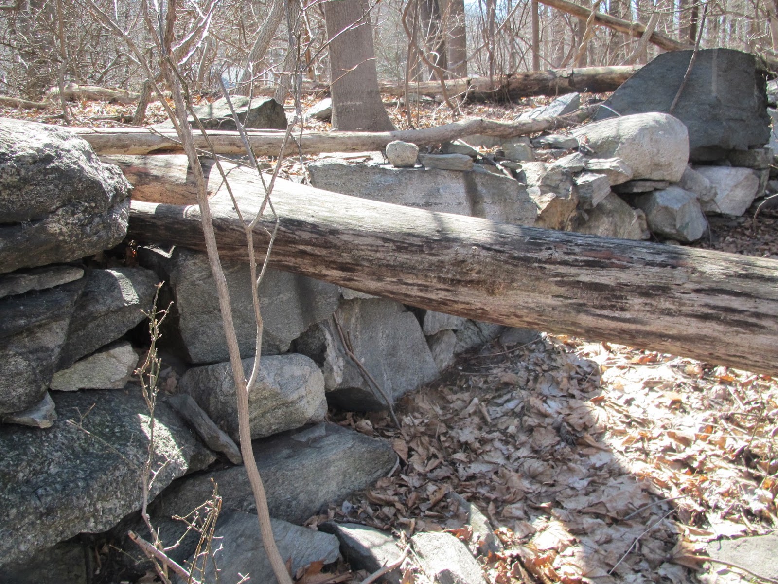 Joel Campbell (17351828) His Life and Times A Visit to Continental