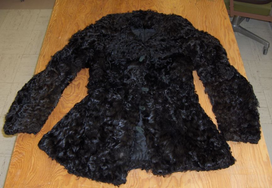 100 Hidden Histories Dog Fur Coats