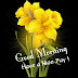 Top 200 Good Morning Images, Greetings, Pictures for whatsapp bestwishespics