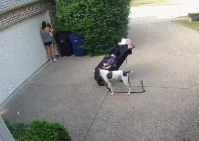 GIF%2B%25283%2529.gif