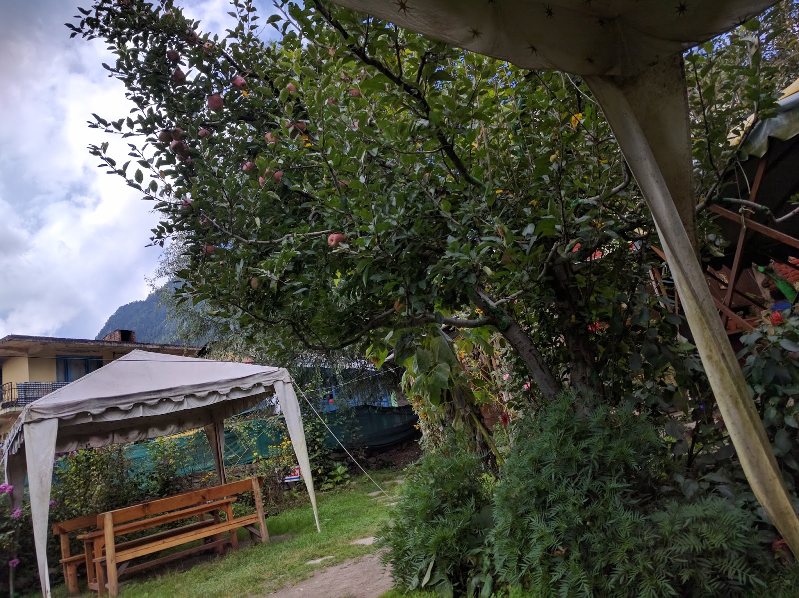 My Nomadic Life! Experiencing Ladakh the 'Our Way'