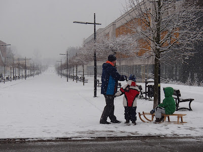 zima 2018, zima w Krakowie, jazda na sankach, fikołki na śniegu, grzyby zimowe, trzęsak pomarańczowożółty