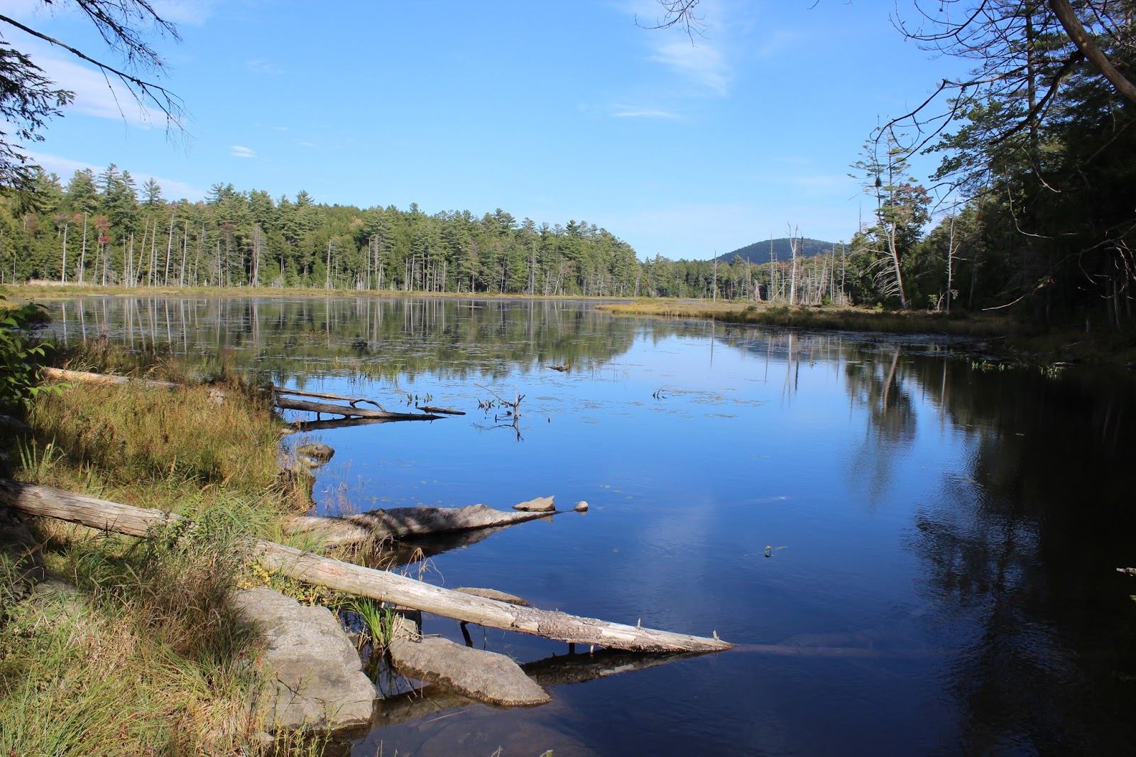 Walking Man 24 7 Goose Pond(Adirondacks)