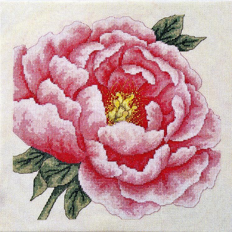 Luca-s пионы b2355. вышивка крестом пионы риолис. чудесная игла 110-061. чудесная игла пионы для умелицы. Ladymaestra пионы.