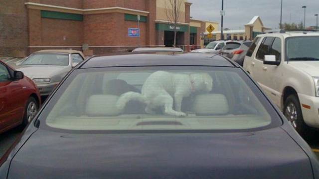 Picdump-Ritemail-012.jpg