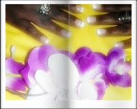 Decoração francesinha http://diariodeunhasroidas.blogspot.com/