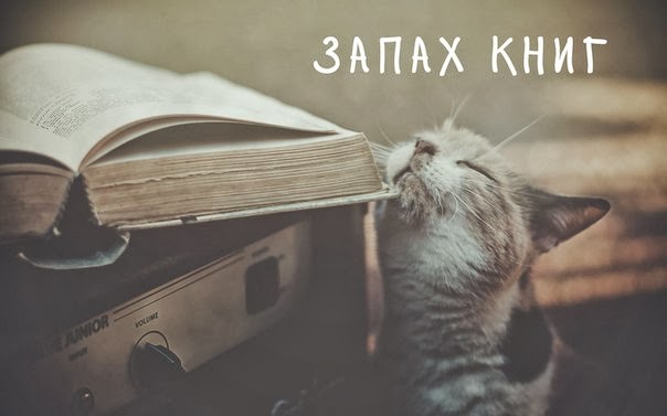Другие - Россия: Лучшие книги М. Гладуэлла - обзор комплекта