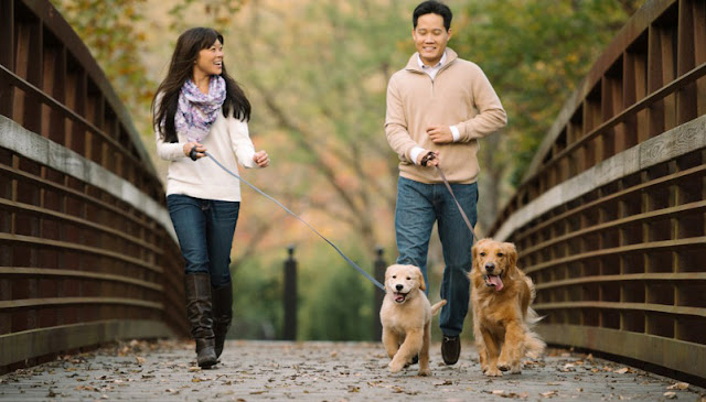 China Keluarkan Larangan Jalan-jalan bersama Anjing, Ini Pemicunya China Keluarkan Larangan Jalan-jalan bersama Anjing, Ini Pemicunya