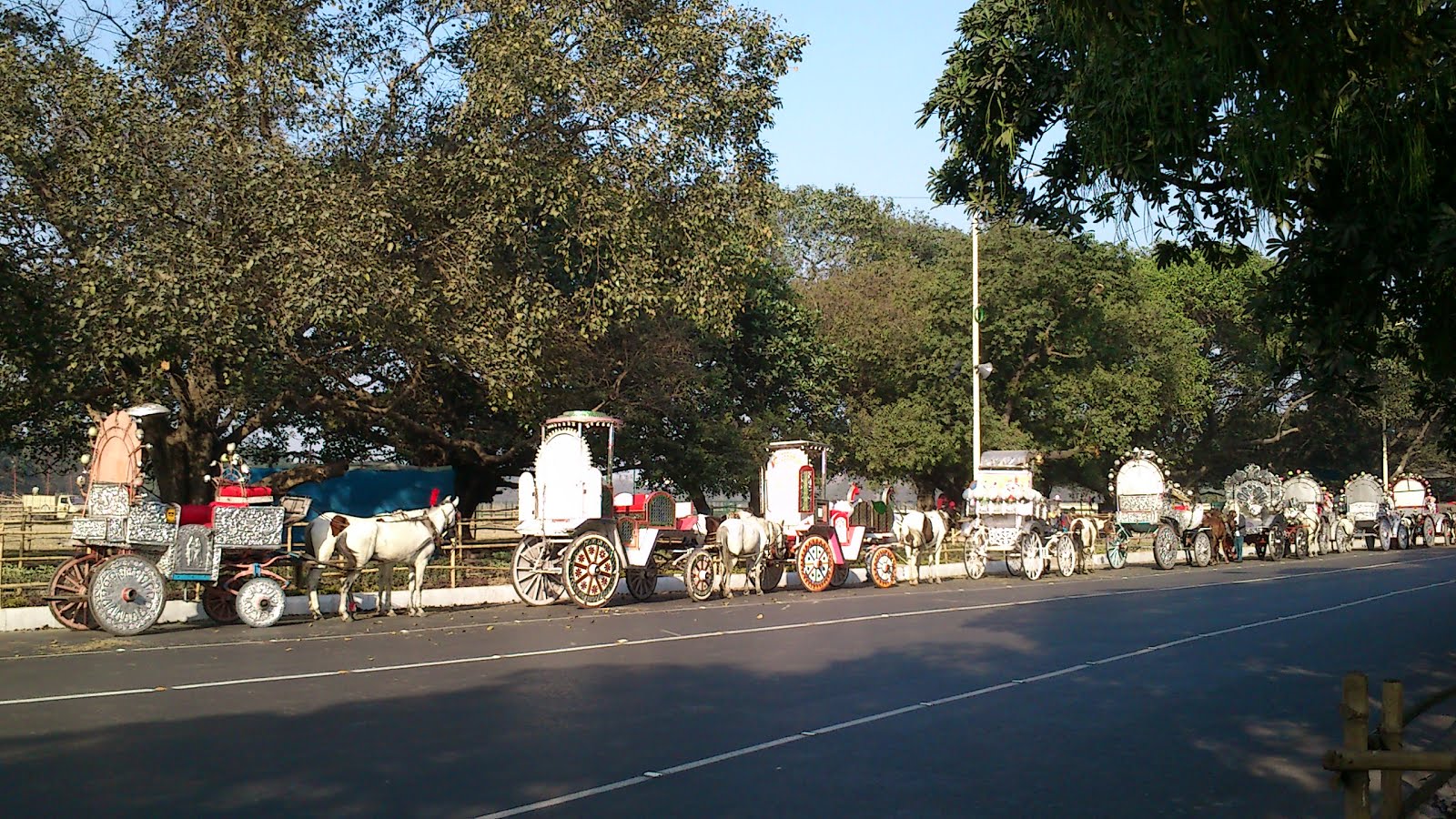 Asim Bando's KOLKATA BLOG Horsetrodden Carts Heritage Of Kolkata