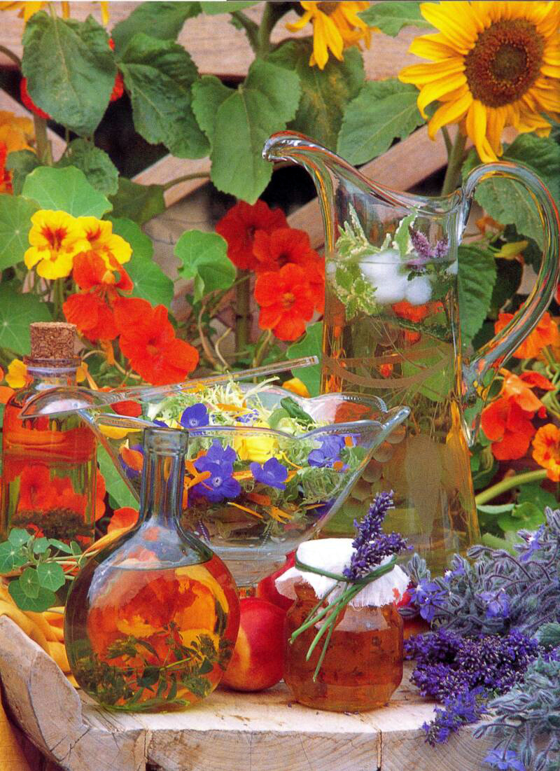 Shannon's Shanonigins Bite A Beautiful Blossom, Edible (Savory) Flowers