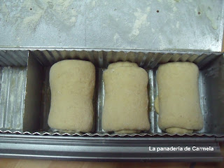 panmoldethermo8.jpg