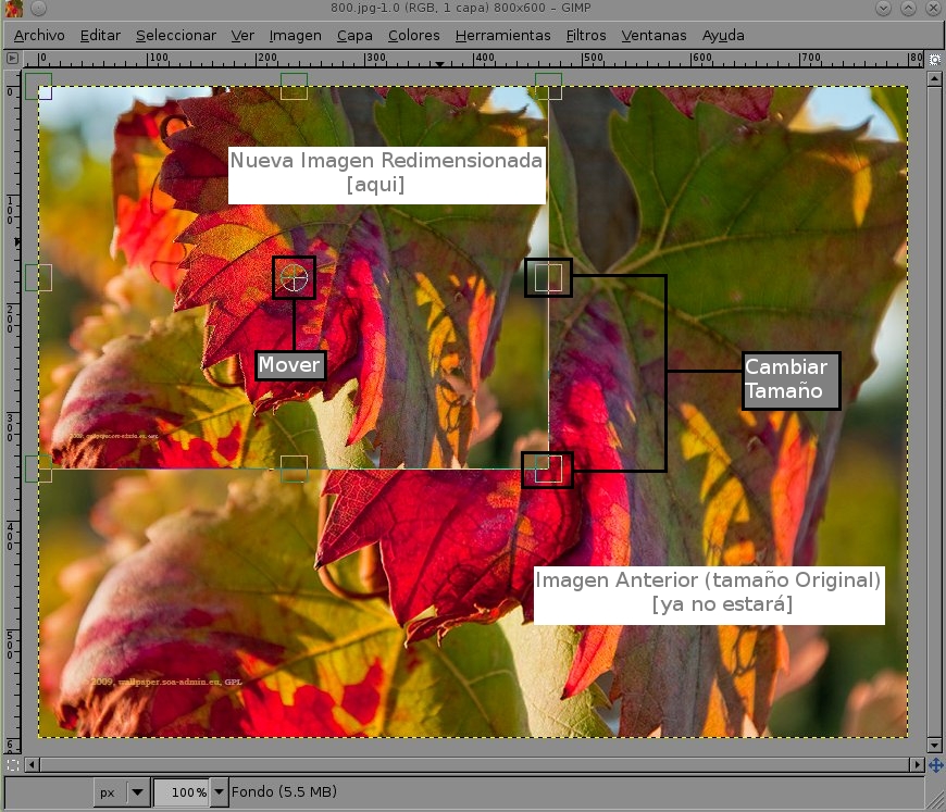 Recortar y Cambiar tamaño de una