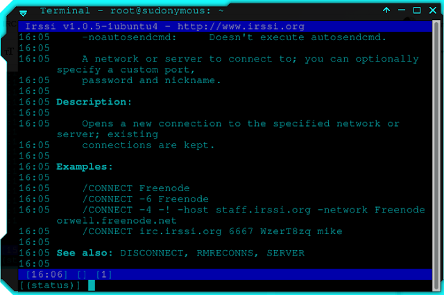 irssi help connect