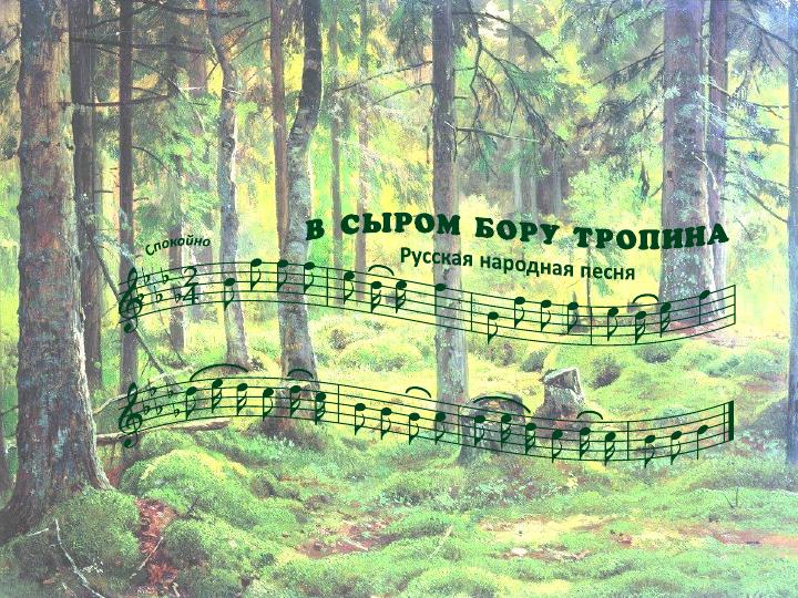 в сыром бору тропина картинка. в сыром бору тропина ноты. книга сыр-бор. во сыром бору злой. во сыром бору злой.