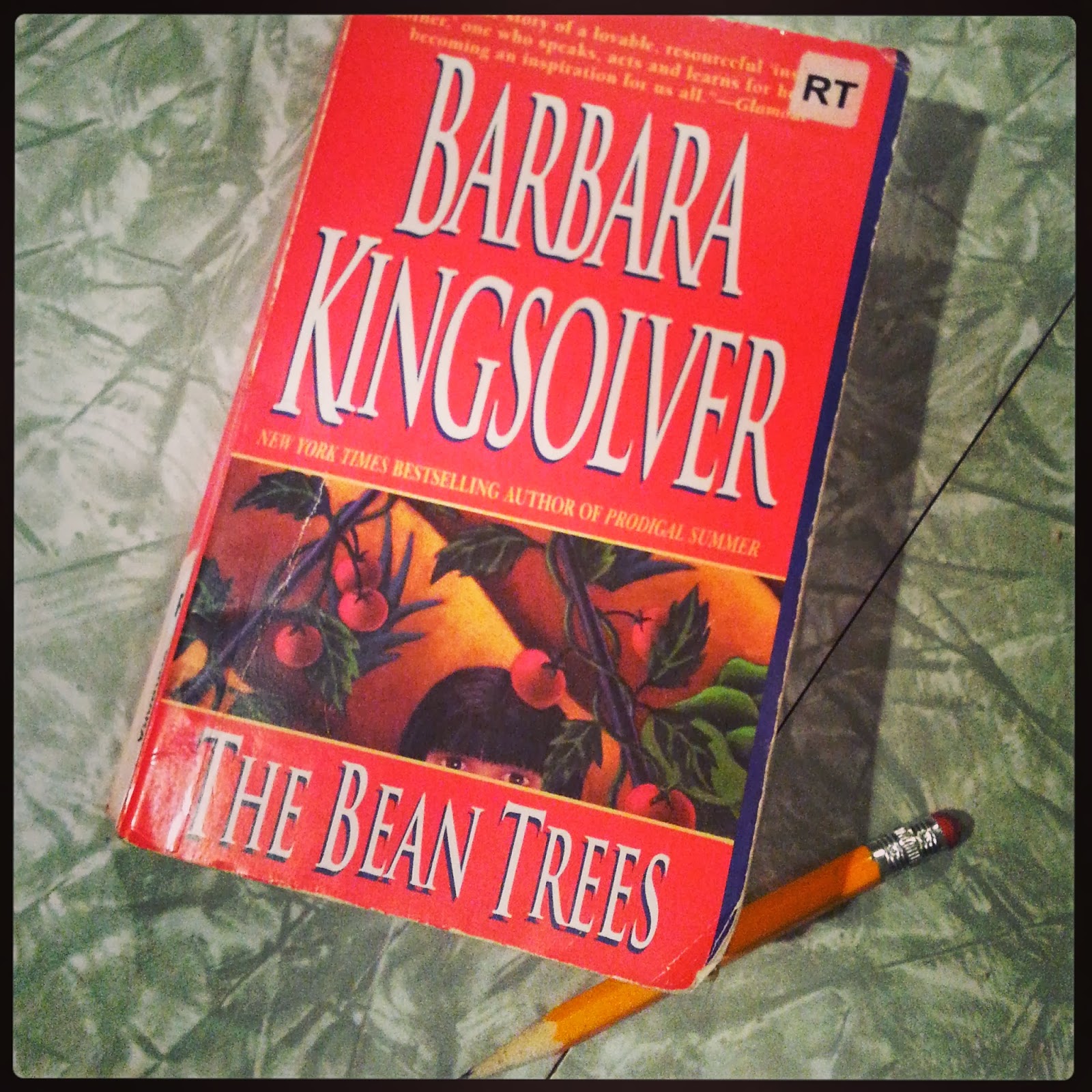 Foofy * Not Foofy Review The Bean Trees by Barbara Kingsolver
