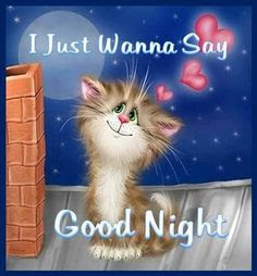 Good Night Quotes Good Night Quotes