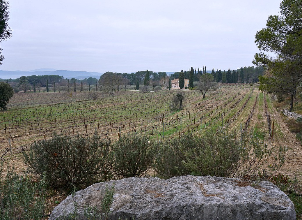 Vineyards at Saint-Jean de Villecroze