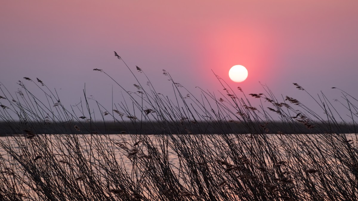 Фотографии рассветов и закатов