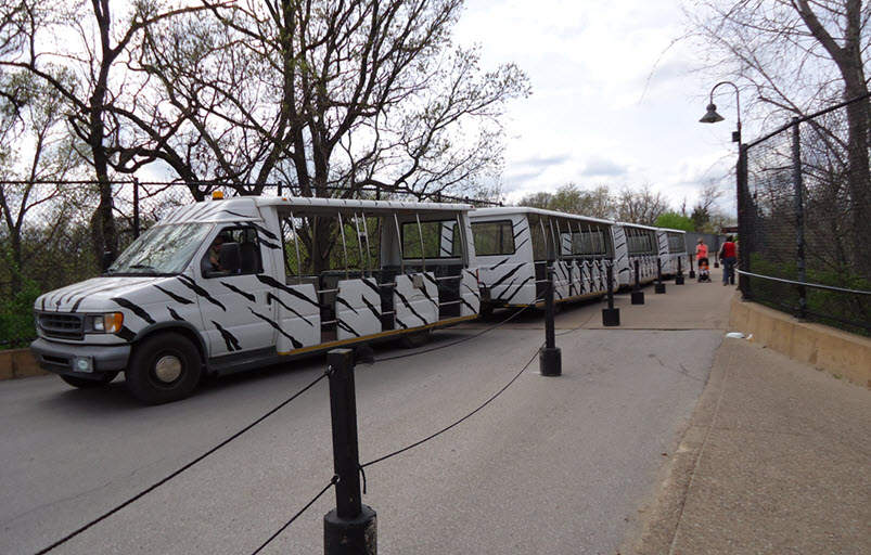 Kansas City Zoo Family Adventure Tropical Mom's Day Off
