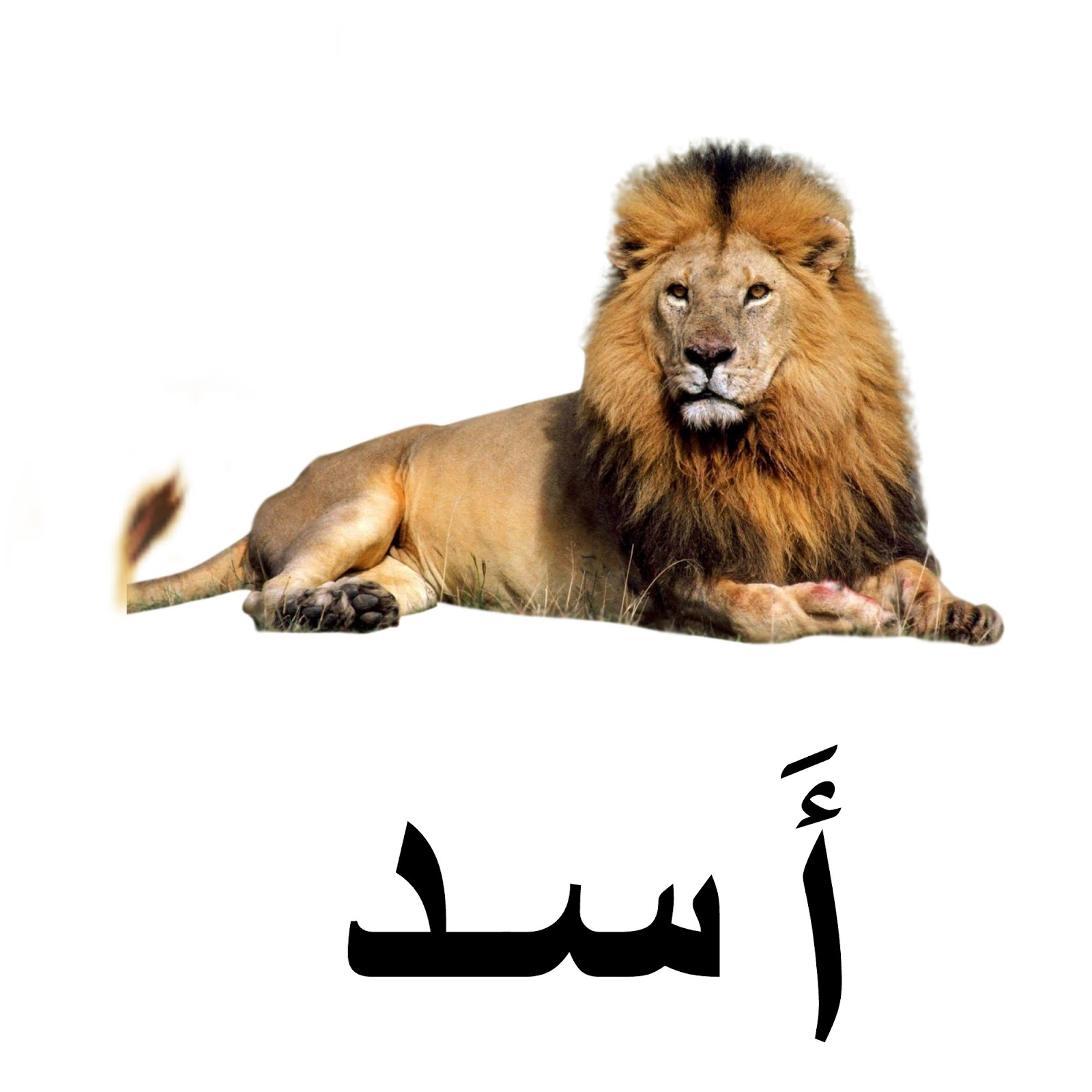 اشكال حرف الالف للاطفال